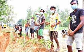 उद्यानिकी को बढ़ावा