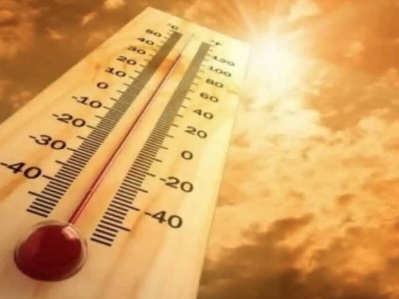 नई दिल्ली