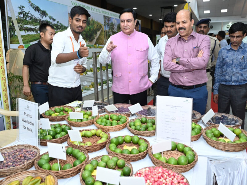 डॉ. अलंग