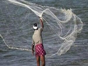 मछलियों की वंश