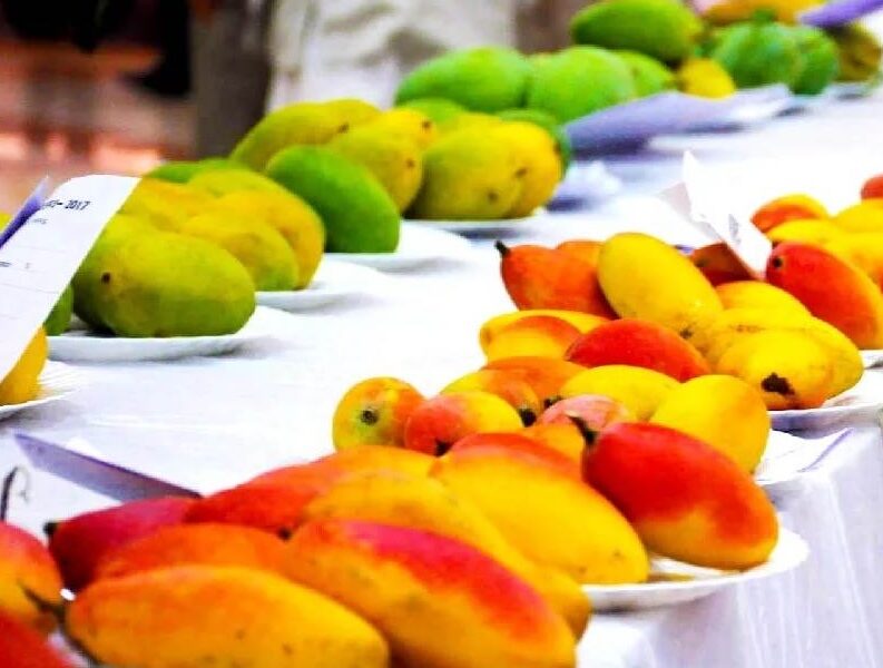 आम महोत्सव