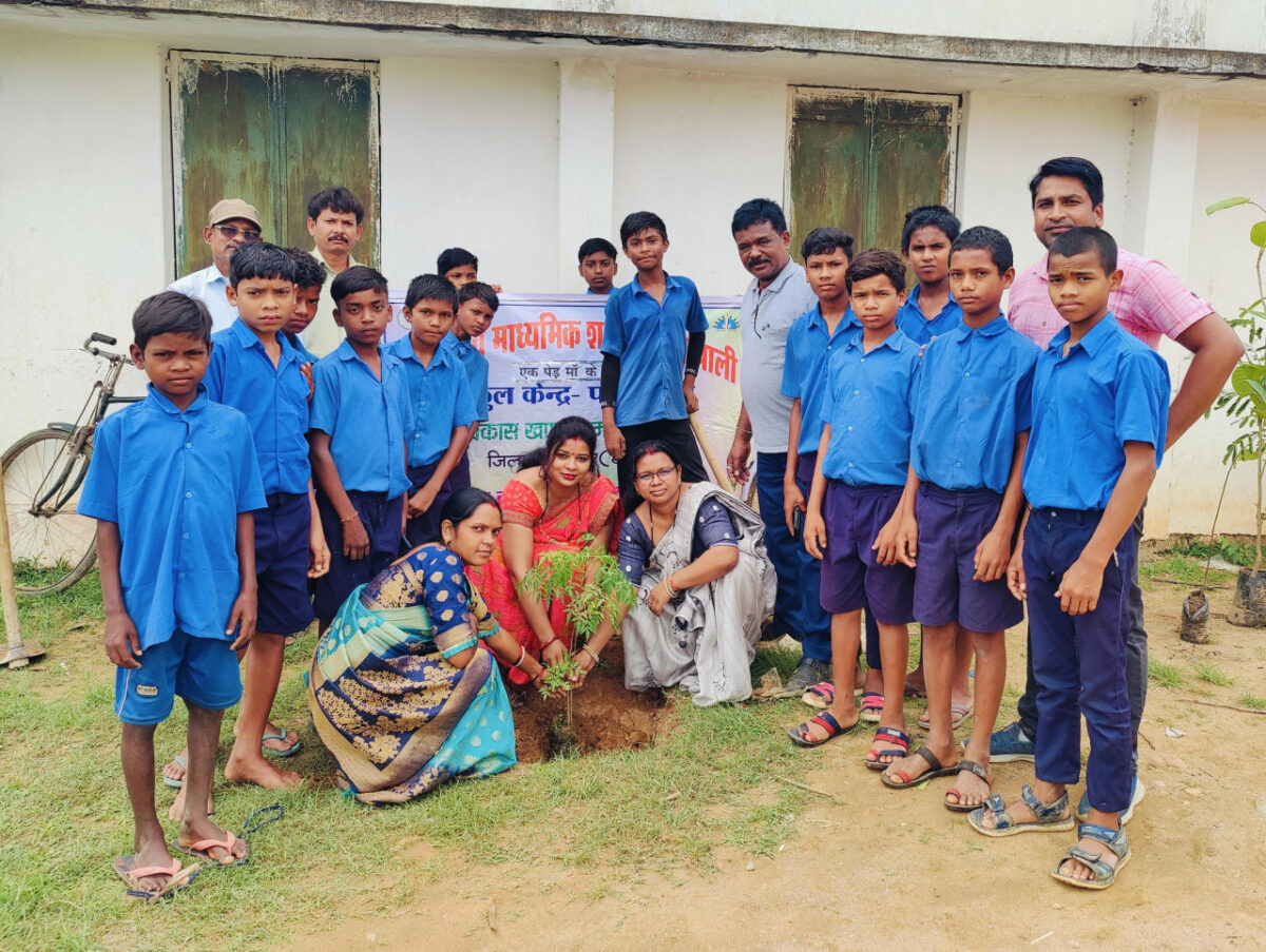 A tree in the name of mother