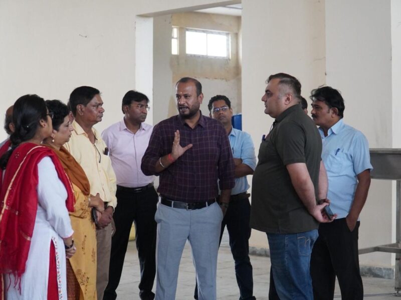 Forest Products and Market