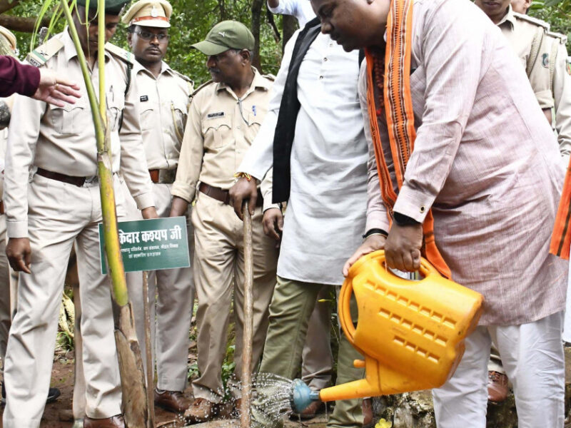 वन मंत्री