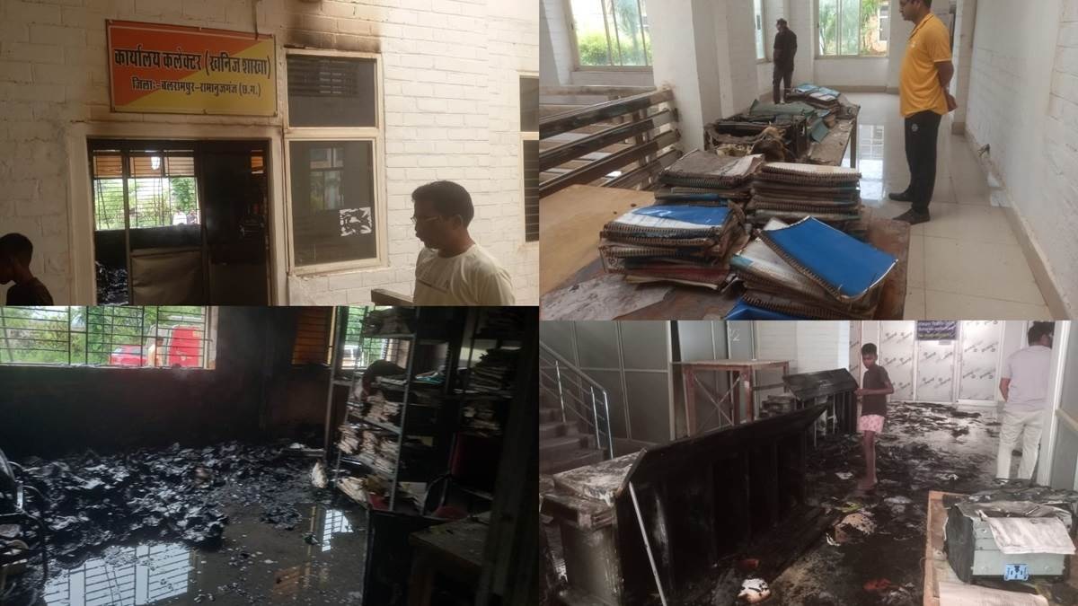 खनिज शाखा