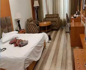 होटल बेबीलोन