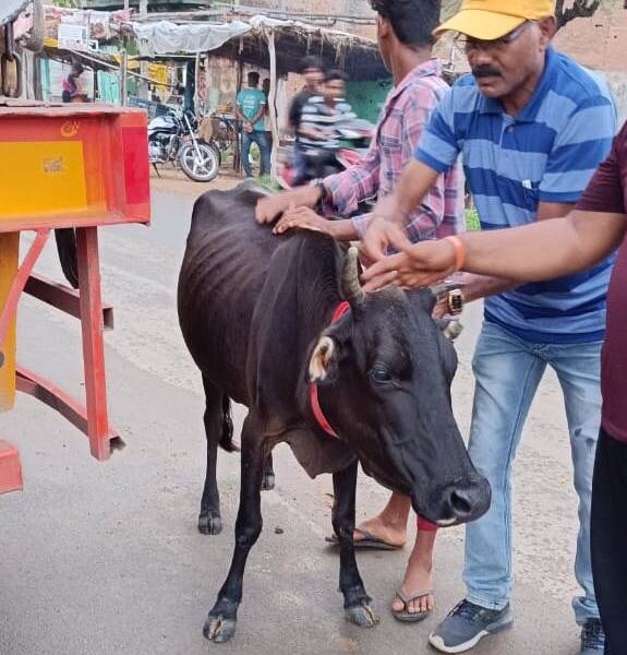 रेडियम बेल्ट