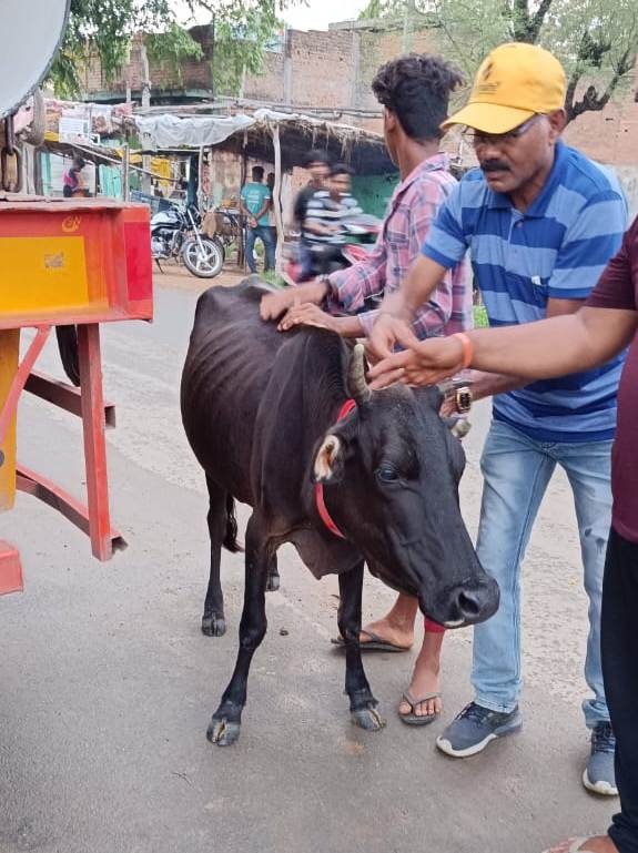 रेडियम बेल्ट