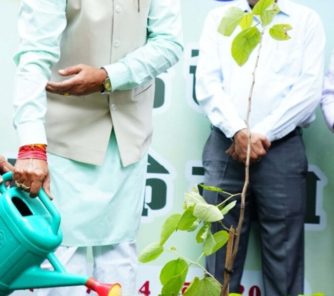 हरेली का पर्व