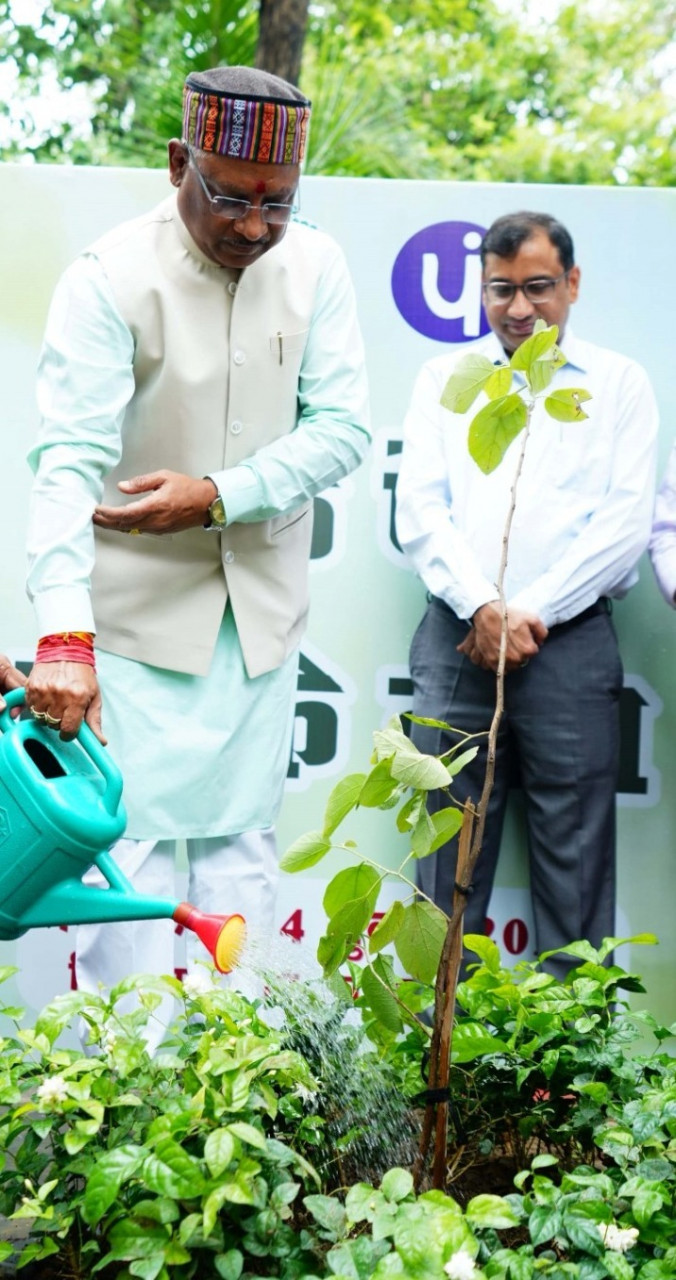 हरेली का पर्व