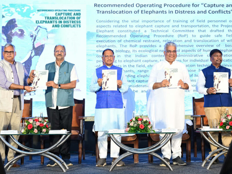 विश्व हाथी दिवस