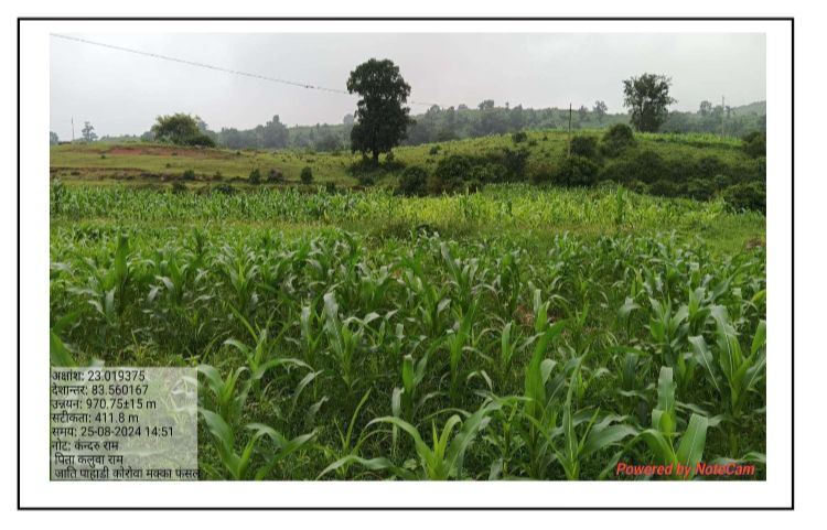 ग्रामीणों को रोजगार