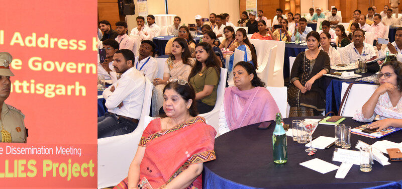 टी.बी को जड़