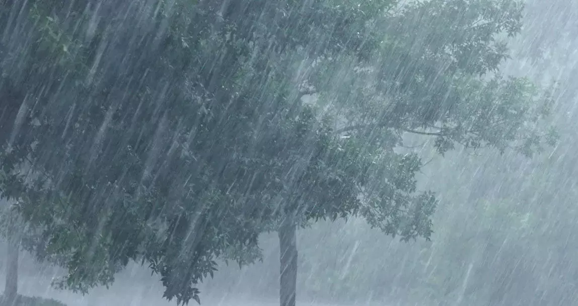 महासमुंद