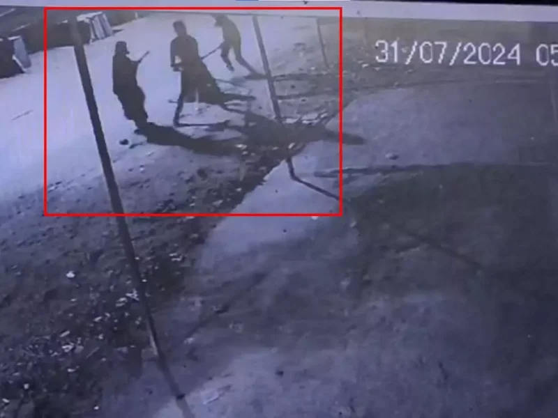 मां-बेटे पर हमला