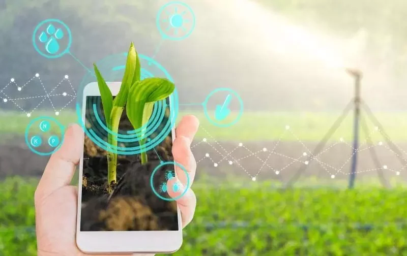 डिजिटल फसल सर्वे