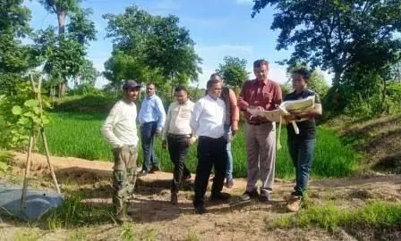 अतिरिक्त कलेक्टर