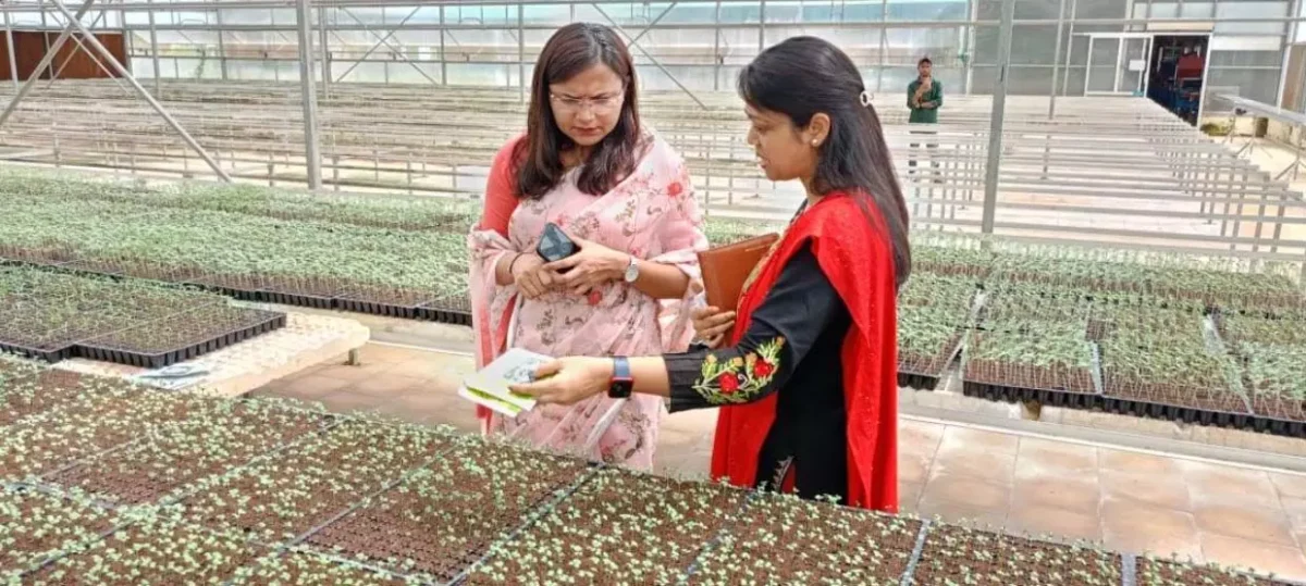 कलेक्टर चौधरी