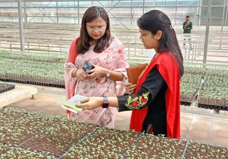 कलेक्टर चौधरी