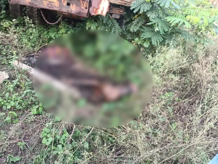 छत्तीसगढ़ में लापता बुजुर्ग