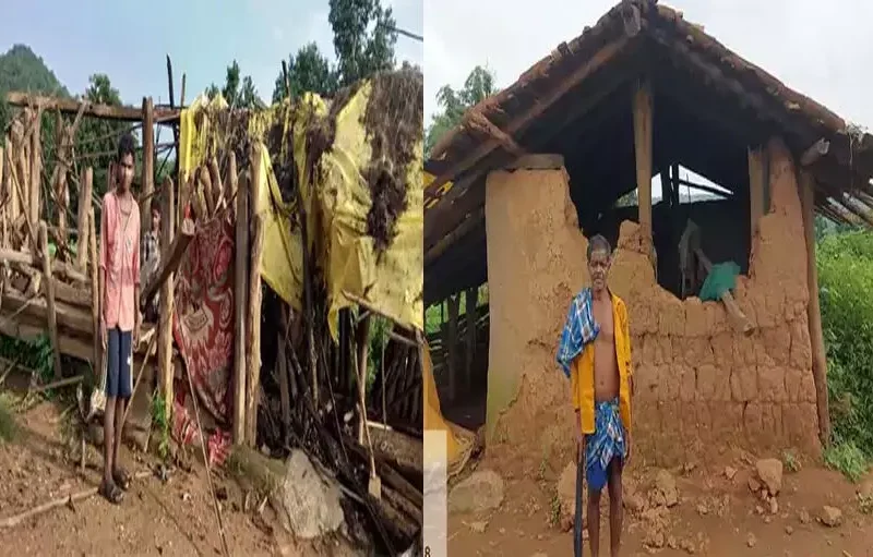 हाथियों के झुंड