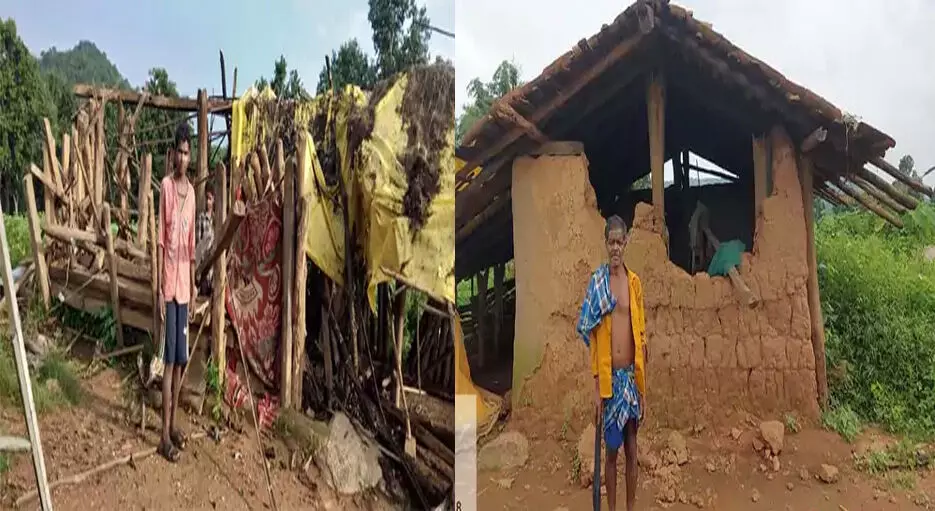 हाथियों के झुंड