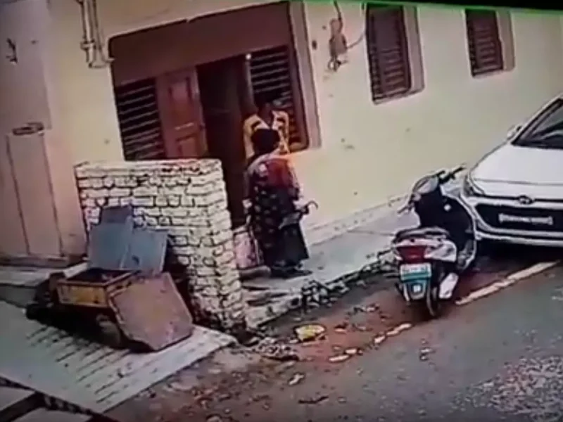 छत्तीसगढ़ चोरी