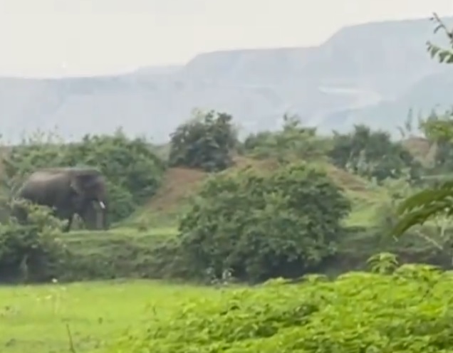 कुसमुंडा खदान