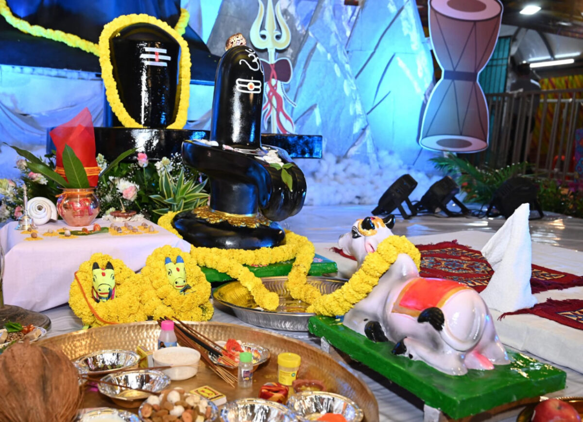 विष्णु भैया