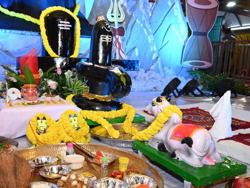 विष्णु भैया