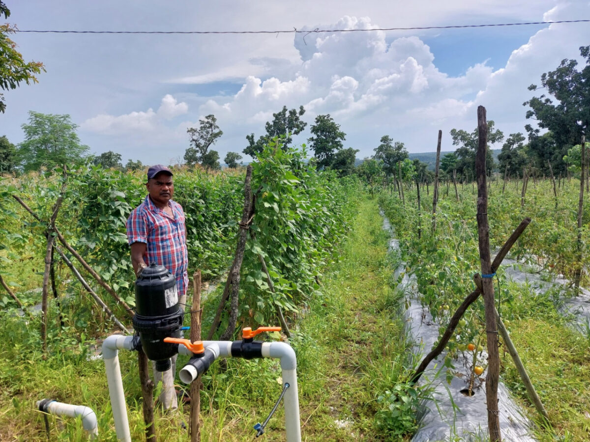 मनरेगा की मदद से