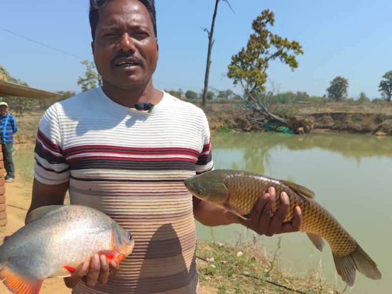 मछली पालन