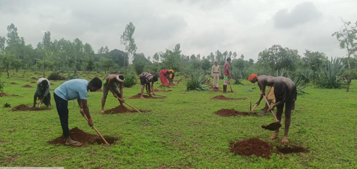 बस्तर वनमंडल में रोजगार