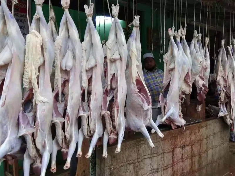 रायपुर में चिकन