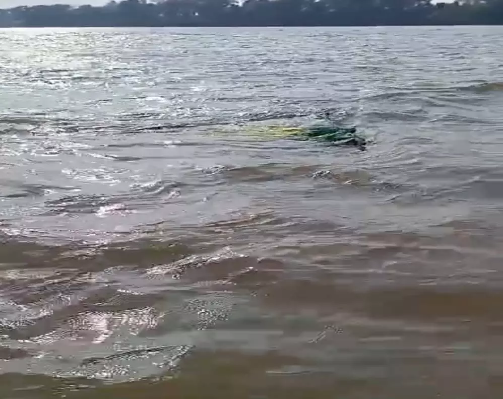 नर्मदा नदी