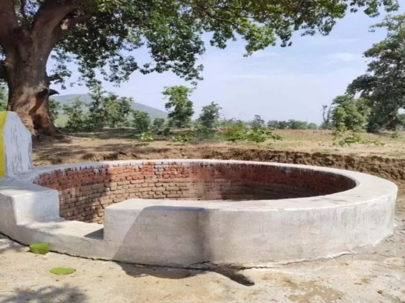 खेतों में