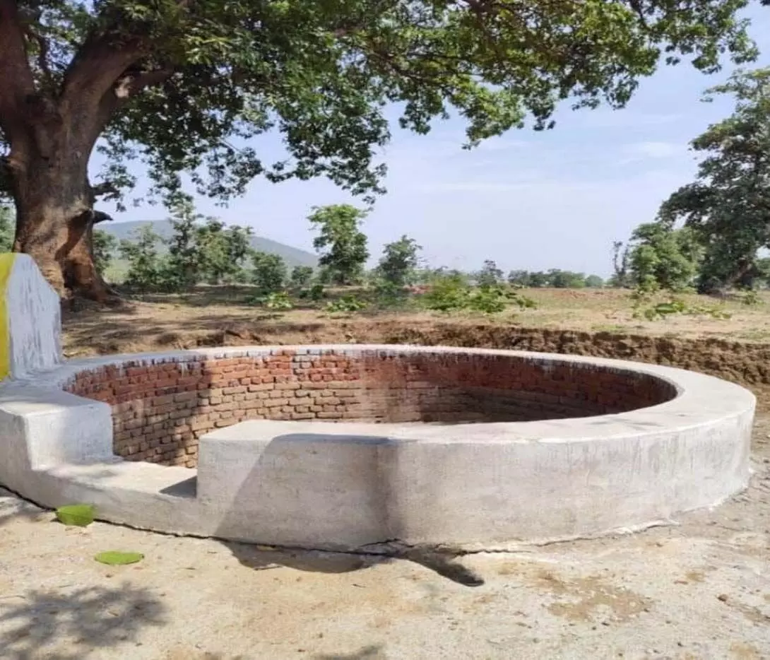 खेतों में