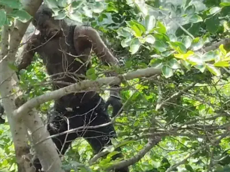 टीकमगढ़