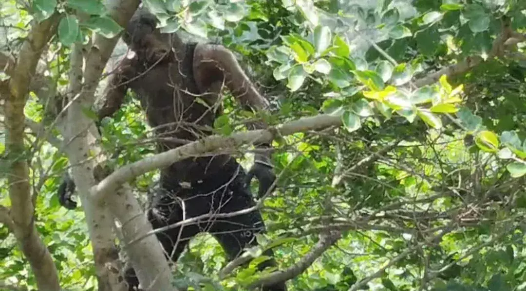 टीकमगढ़