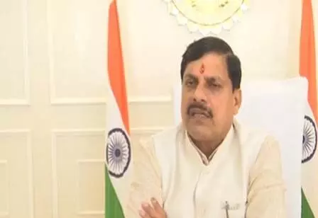 सोयाबीन