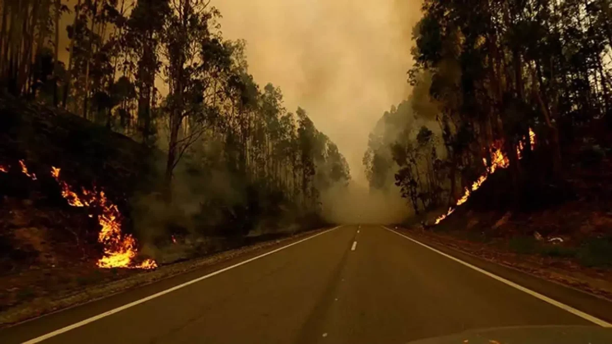 पुर्तगाली लीग