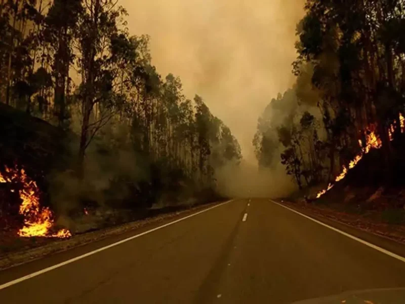 पुर्तगाली लीग