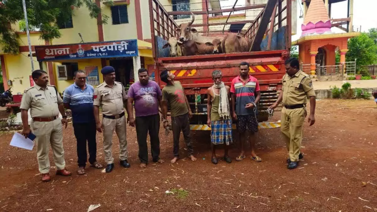 मवेशियों की