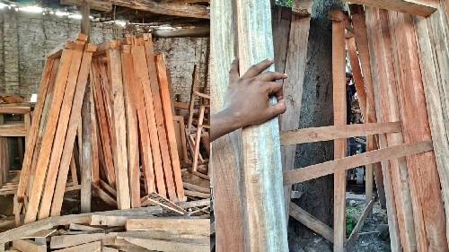 भेड़ियों के हमले