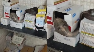 सरकारी अस्पताल में