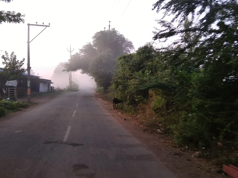 छत्तीसगढ़ का आज का मौसम