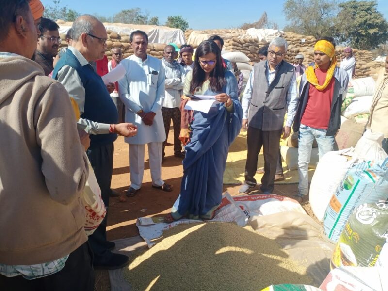 कलेक्टर ने धान संग्रहण