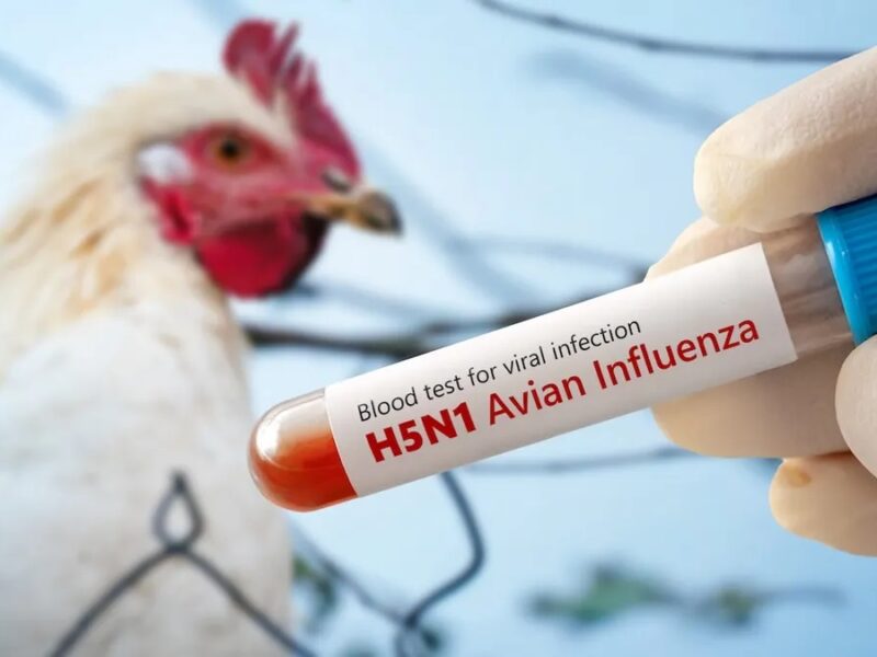 भारत के वैज्ञानिकों