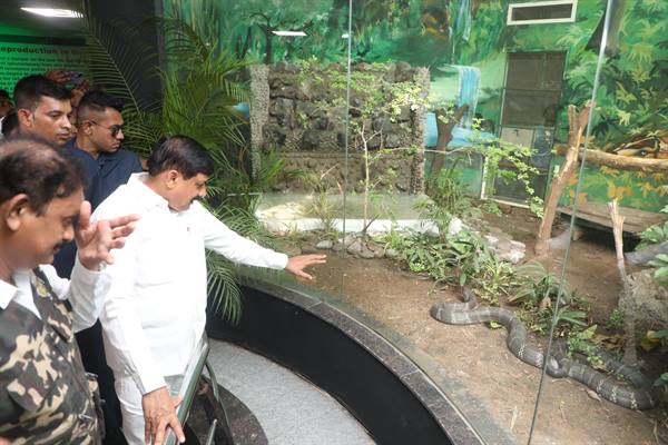 डॉ. मोहन यादव