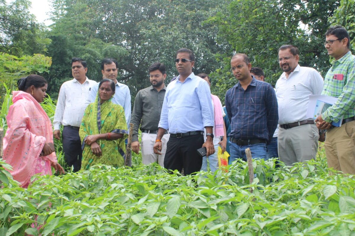 जैविक खेती